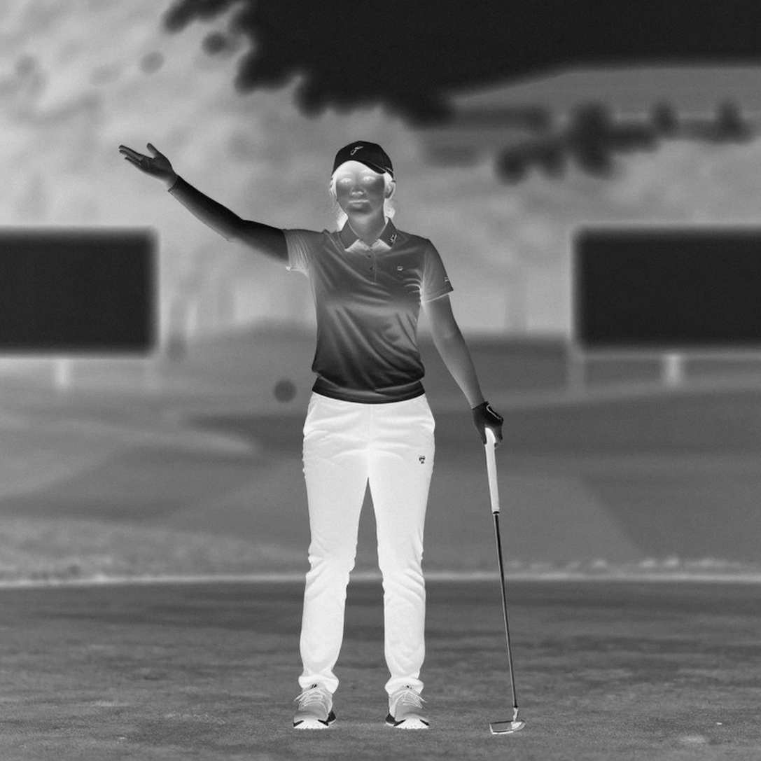 Màn hình trống ở làng golf: Điều gì xảy ra khi dữ liệu ngừng lên tiếng